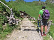 56 All'ombra del Rif. Branchino pranzetto al sacco